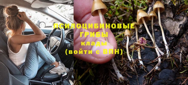 прущая мука Корсаков